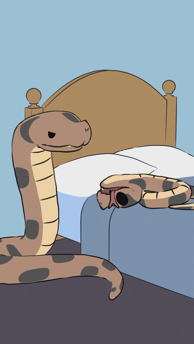 Instagram reels by @naturalhabitatshorts
