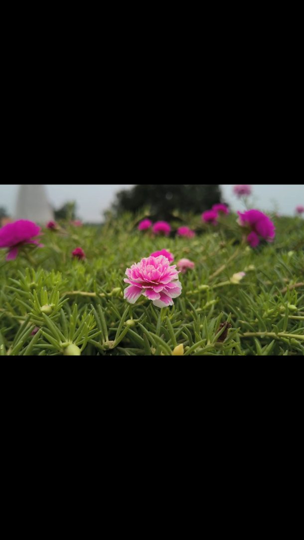 Instagram reel by @clickbylakhan