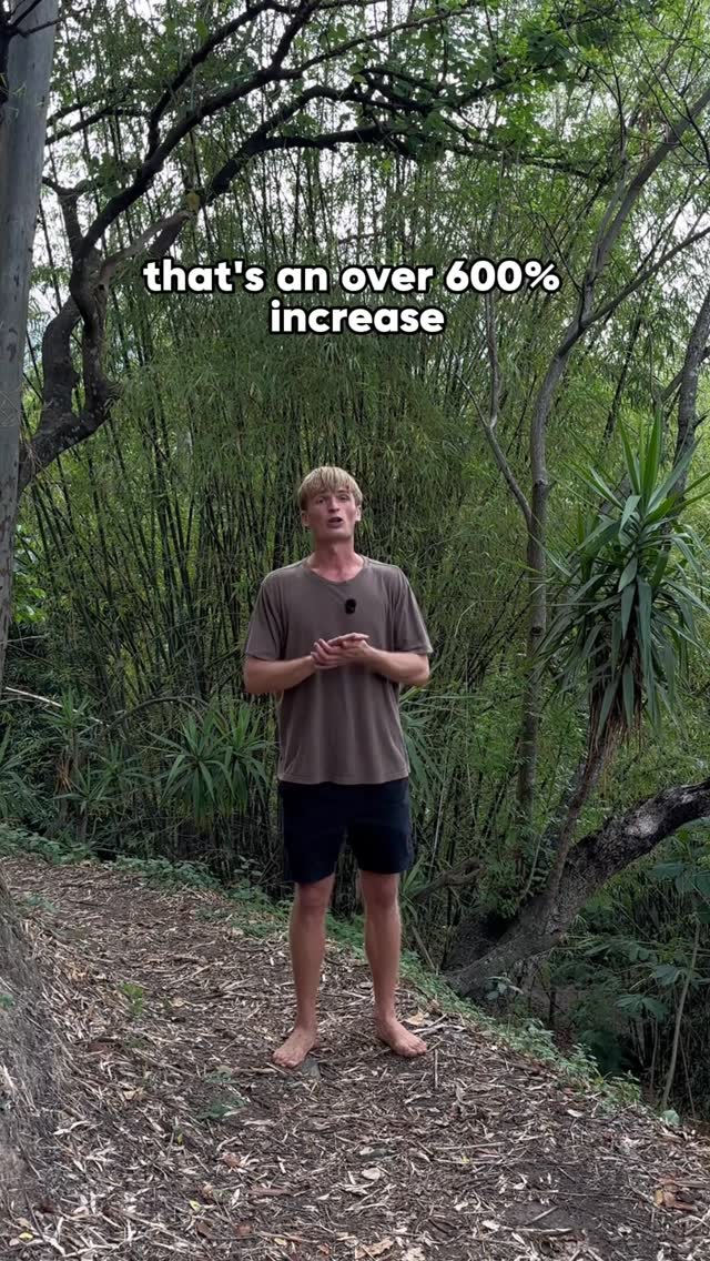Instagram reels by @holistic.grenade