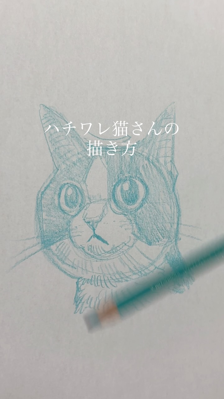 Instagram reels by @inunomazurutonekonohige