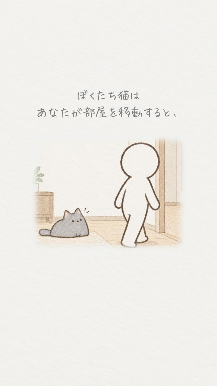 Instagram reels by @neko_bokutoanata