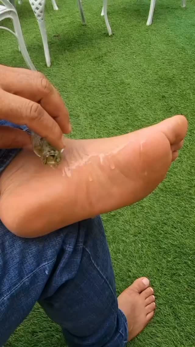 Instagram reels by @ma_nature11
